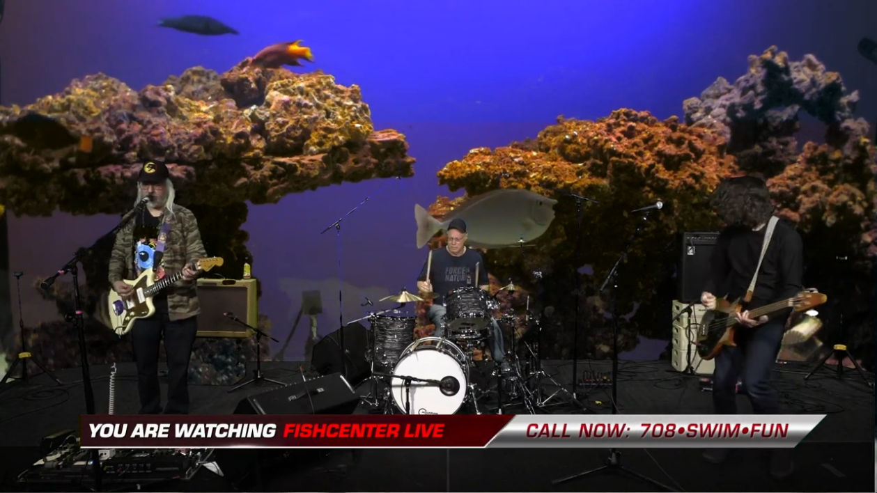 Fishcenter [Adult Swim]